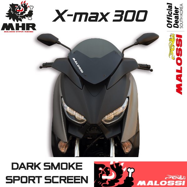 17~24 X-MAX 300 윈드 스크린 [4517837]
